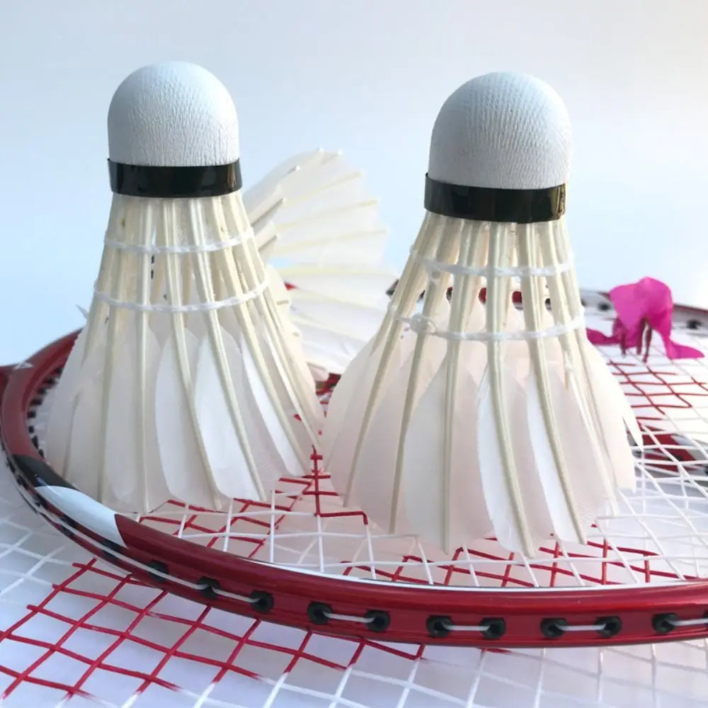 3/6/12Pcs Professional Badminton Shuttlecock Badminton Balls Black Goose Feather Badminton Shuttlecock Training Sport