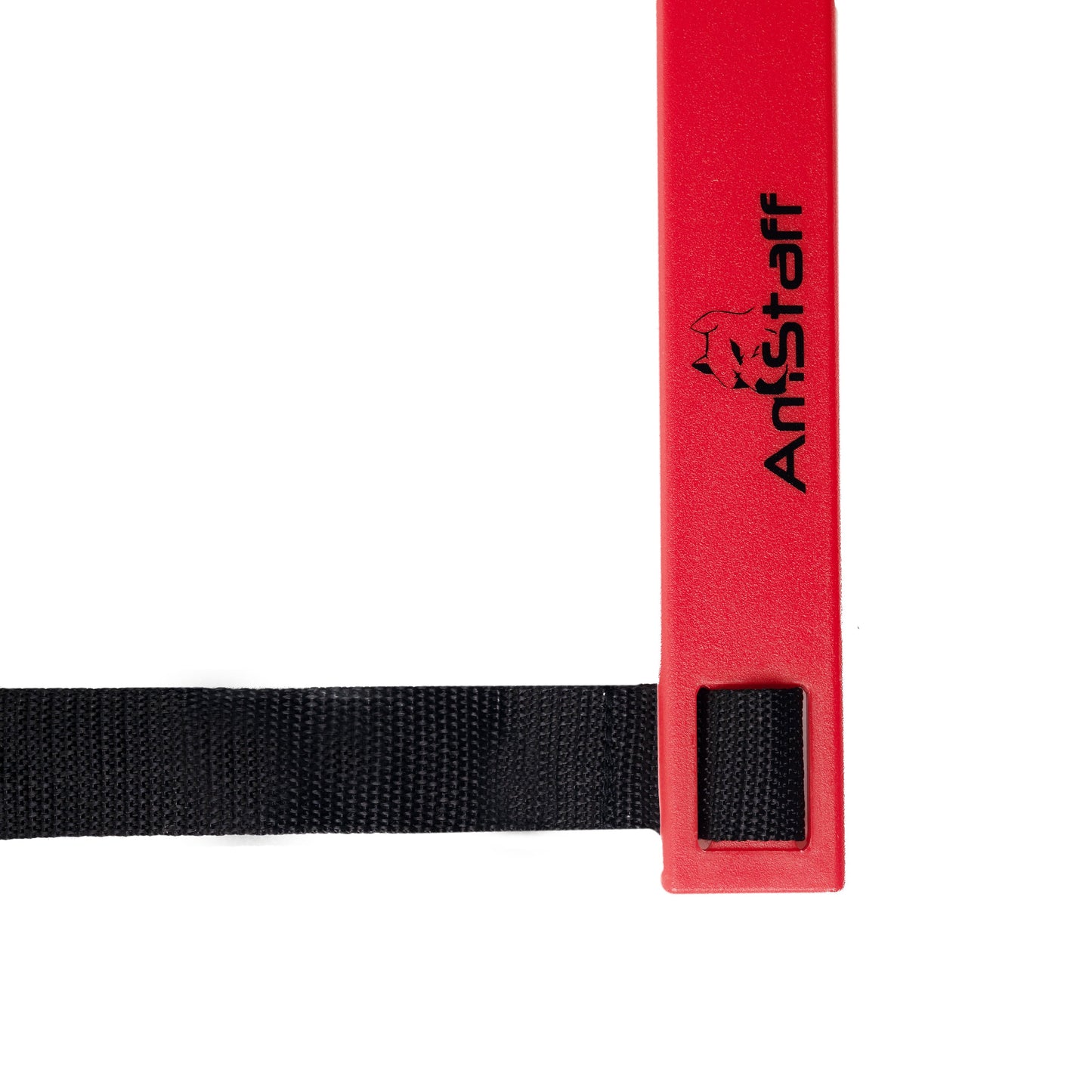 30Ft Agility Ladder